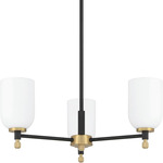 Council Chandelier - Black / Satin Brass / White Frosted