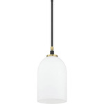 Council Pendant - Black / Satin Brass / White Frosted