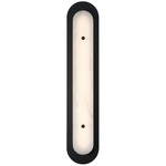 Tramore Outdoor Wall Sconce - Black / Alabaster