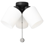 Windom Light Kit - Midnight Black / Opal Etched