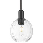 Preston Globe Stem Hung Pendant - Matte Black / Clear