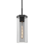 Blakeley Stem Pendant - Matte Black / Light Smoke