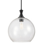 Astor Stem Pendant - Matte Black / Clear