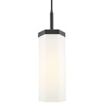 Blakeley Pendant - Matte Black / Matte White