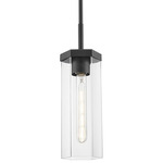 Blakeley Stem Pendant - Matte Black / Clear