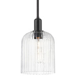 Bridal Veil Stem Hung Pendant - Matte Black / Clear