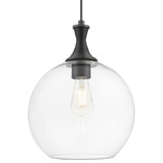 Astor Pendant - Matte Black / Clear