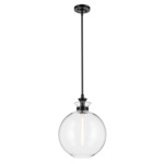 Laria Globe Pendant - Black / Clear