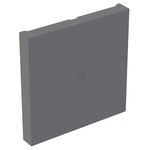 Adorne Remote Smart Switch Color Change Kit - Magnesium