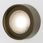 Berlin Outdoor Wall Sconce - Anodic Bronze / Frost