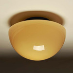 Pearl Semi Flush Ceiling Light - Oil Rubbed Bronze / Cased Fume