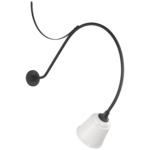 Academy Outdoor Anchor Larrabee Small Rockhouse Wall Light - Matte Black / White