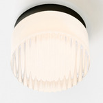 Crisp Ceiling Light - Black Anodized / White Interior