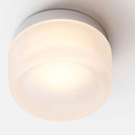Dimple Ceiling Light - Natural Anodized / Frosted
