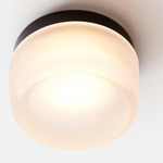 Dimple Ceiling Light - Black Anodized / Frosted