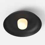 Hoist Outdoor Ceiling Light - Matte Black / Frost