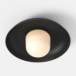 Hoist Outdoor Ceiling Light - Matte Black / Frost