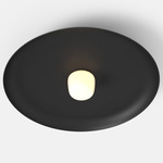 Hoist Outdoor Ceiling Light - Matte Black / Frost