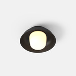 Hoist Outdoor Ceiling Light - Matte Black / Frost
