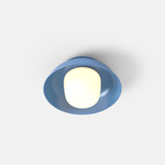 Hoist Outdoor Ceiling Light - Blue Gloss / Frost
