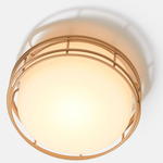 Cape Outdoor Ceiling Light - Taupe / Frost