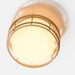 Cape Outdoor Ceiling Light - Taupe / Frost