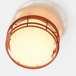 Cape Outdoor Ceiling Light - Copper Brown / Frost