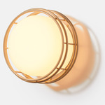 Cape Outdoor Wall Sconce - Taupe / Frost