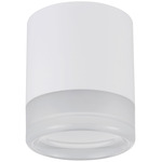 Lucia Ceiling Light - Matte White / White