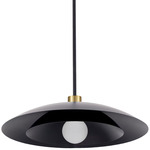 Pima Pendant - Aged Brass / Matte Black
