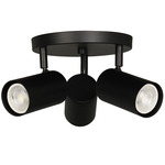 Taylor 3 Light Track Light - Matte Black