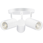 Taylor 3 Light Track Light - Matte White