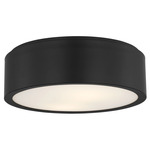 Albee Ceiling Flush Light - Midnight Black / Opal Etched