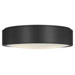 Albee Ceiling Flush Light - Midnight Black / Opal Etched