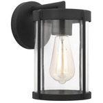 Luning Outdoor Wall Sconce - Textured Black / Clear