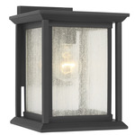 Audley Outdoor Wall Light - Textured Black / Distressed Seeded
