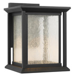 Audley Dark Sky Outdoor Wall Light - Textured Black / Distressed Seeded