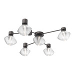 Mesa Hub & Spoke Ceiling Flush / Wall Sconce - Graphite / Mesa Clear