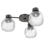 Vessel Hub & Spoke Ceiling Flush / Wall Sconce - Graphite / Vessel Clear