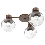 Luna Hub & Spoke Ceiling Light / Wall Sconce - Burnished Bronze / Clear Floret