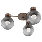 Luna Hub & Spoke Ceiling Light / Wall Sconce - Burnished Bronze / Smoke Floret