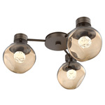 Luna Hub & Spoke Ceiling Light / Wall Sconce - Flat Bronze / Bronze Floret