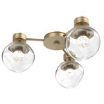 Luna Hub & Spoke Ceiling Light / Wall Sconce - Gilded Brass / Clear Floret