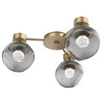 Luna Hub & Spoke Ceiling Light / Wall Sconce - Gilded Brass / Smoke Floret