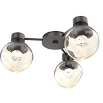 Luna Hub & Spoke Ceiling Light / Wall Sconce - Graphite / Amber Floret