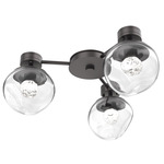 Luna Hub & Spoke Ceiling Light / Wall Sconce - Graphite / Clear Floret