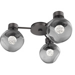Luna Hub & Spoke Ceiling Light / Wall Sconce - Graphite / Smoke Floret