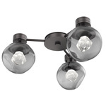 Luna Hub & Spoke Ceiling Light / Wall Sconce - Graphite / Smoke Zircon