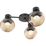 Luna Hub & Spoke Ceiling Light / Wall Sconce - Matte Black / Bronze Floret