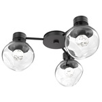 Luna Hub & Spoke Ceiling Light / Wall Sconce - Matte Black / Clear Floret
